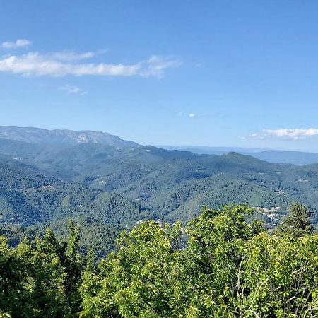 Gite De Combelebouze En Cevennes - Cosy, Confort Et Climatise - 3 Etoiles Saint-Privat-de-Vallongue المظهر الخارجي الصورة