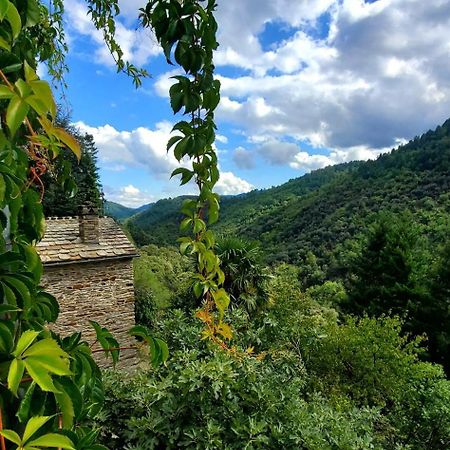 Gite De Combelebouze En Cevennes - Cosy, Confort Et Climatise - 3 Etoiles Saint-Privat-de-Vallongue المظهر الخارجي الصورة