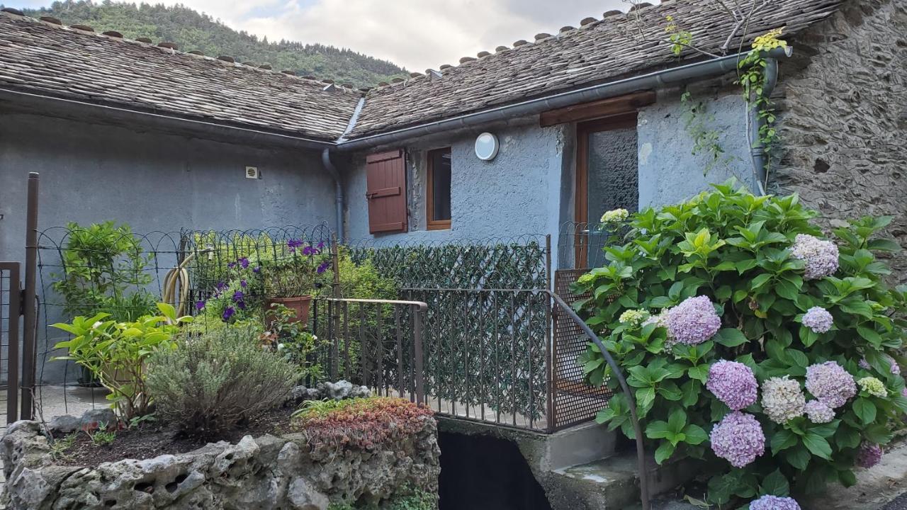 Gite De Combelebouze En Cevennes - Cosy, Confort Et Climatise - 3 Etoiles Saint-Privat-de-Vallongue المظهر الخارجي الصورة