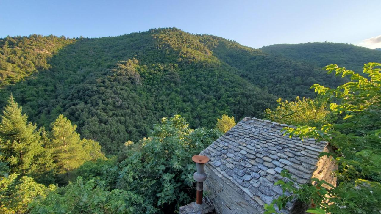 Gite De Combelebouze En Cevennes - Cosy, Confort Et Climatise - 3 Etoiles Saint-Privat-de-Vallongue المظهر الخارجي الصورة
