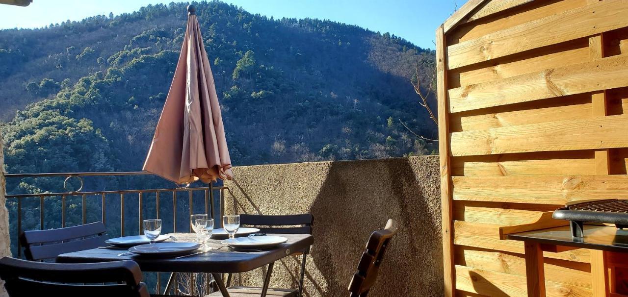 Gite De Combelebouze En Cevennes - Cosy, Confort Et Climatise - 3 Etoiles Saint-Privat-de-Vallongue المظهر الخارجي الصورة