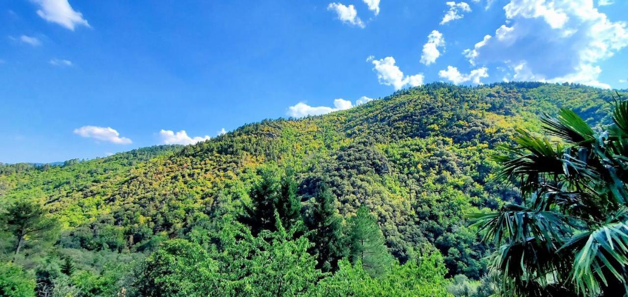 Gite De Combelebouze En Cevennes - Cosy, Confort Et Climatise - 3 Etoiles Saint-Privat-de-Vallongue المظهر الخارجي الصورة