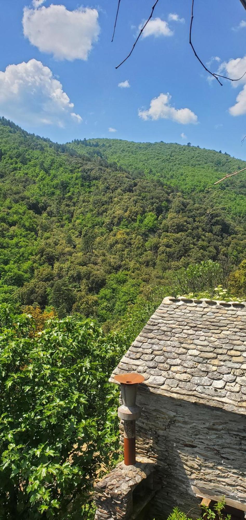 Gite De Combelebouze En Cevennes - Cosy, Confort Et Climatise - 3 Etoiles Saint-Privat-de-Vallongue المظهر الخارجي الصورة