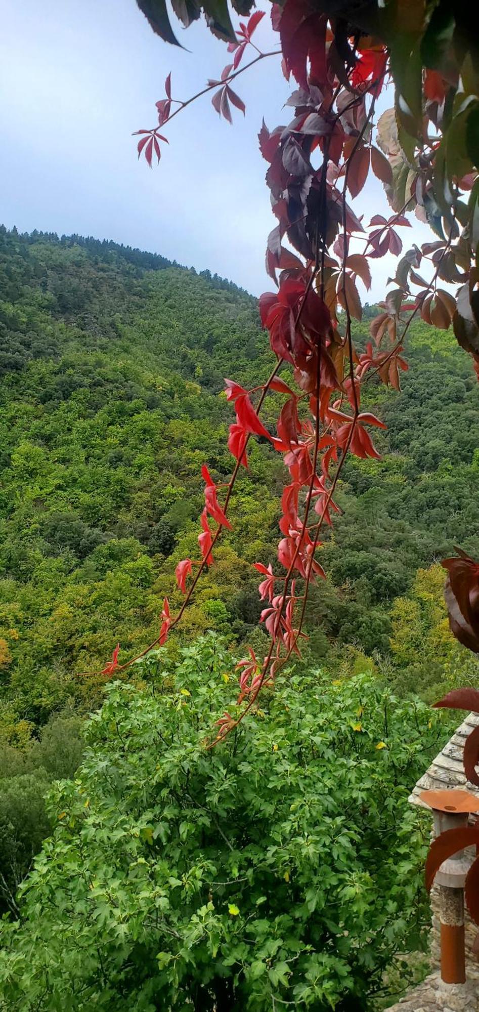 Gite De Combelebouze En Cevennes - Cosy, Confort Et Climatise - 3 Etoiles Saint-Privat-de-Vallongue المظهر الخارجي الصورة